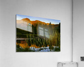 Morning Reflection Acrylic Print