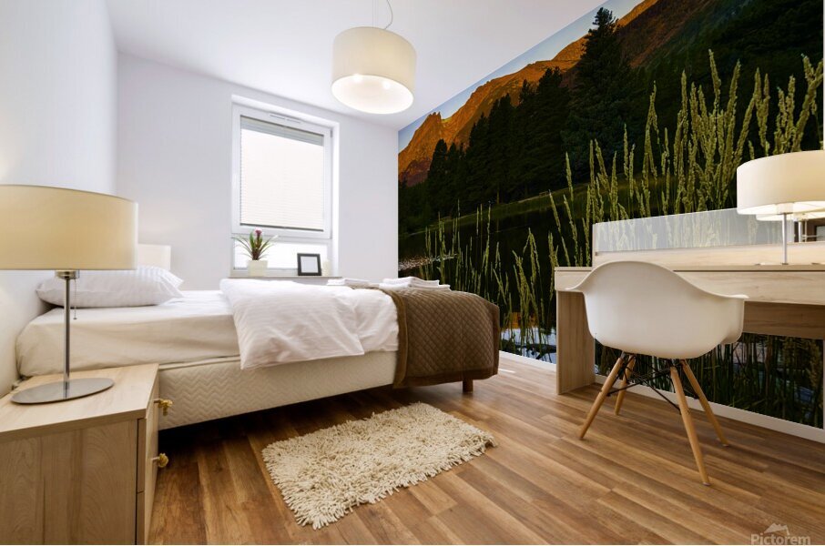 Morning Reflection Mural print