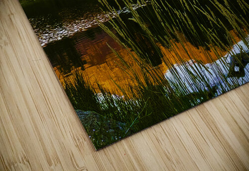 Morning Reflection Elevate Life LLC puzzle