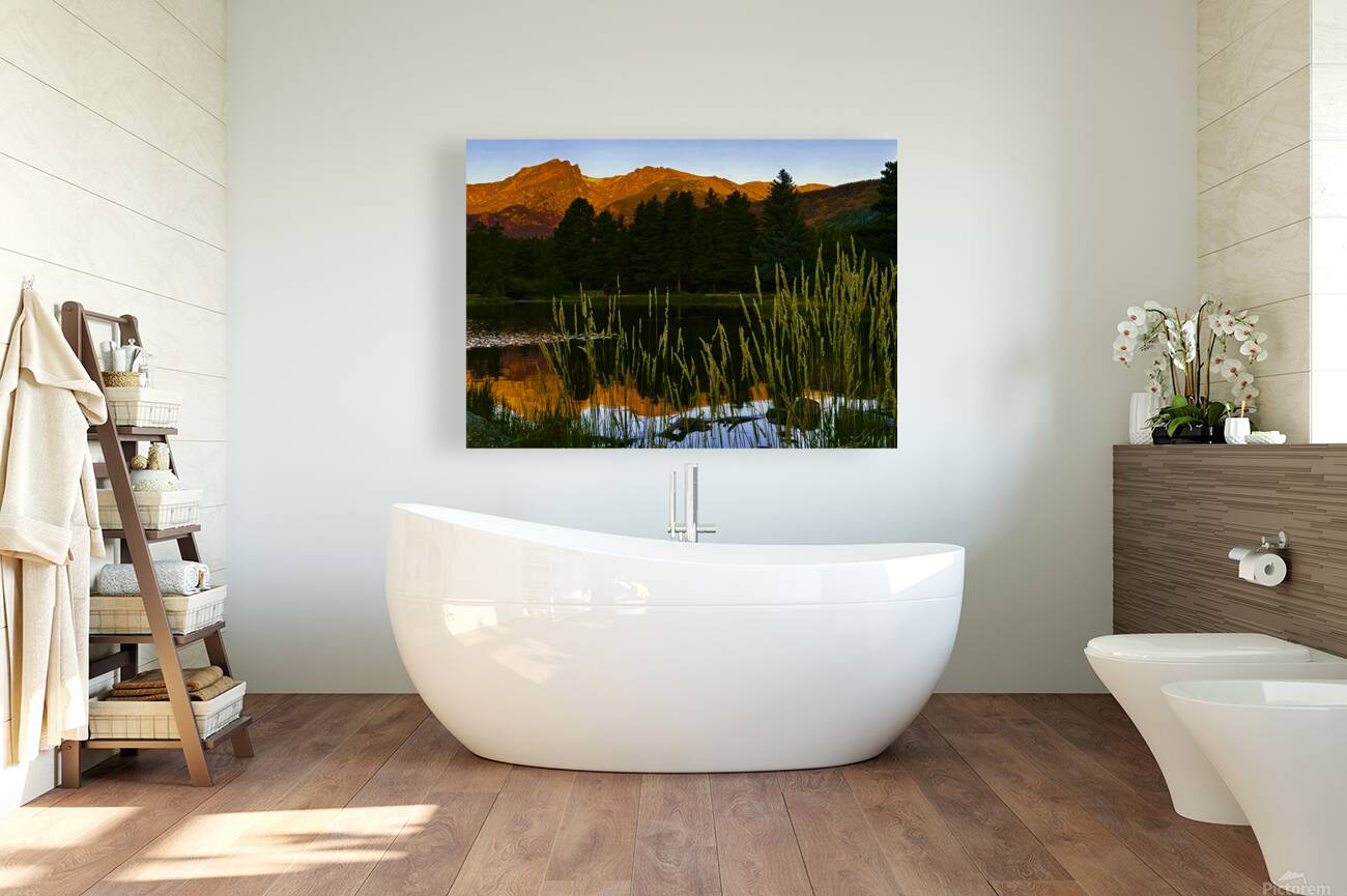 Morning Reflection Reproduction