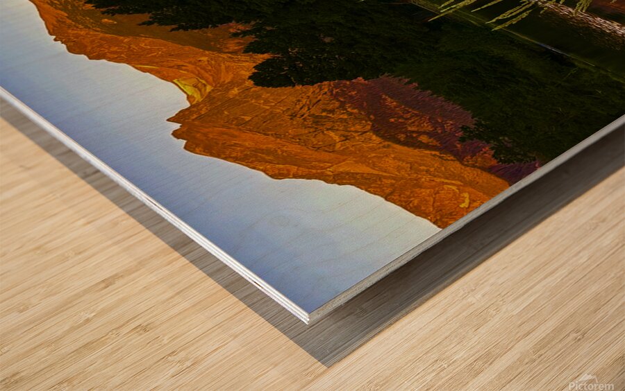 Morning Reflection Wood print