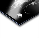 Corn Silk Summer Acrylic print