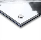 Waiting for Treats Acrylic print