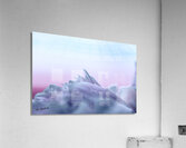 Impressions of a Pink Peony Flower Pastel Acrylic Print