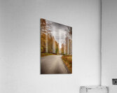 Tranquil Autumn Roads Sullivan County NY Acrylic Print