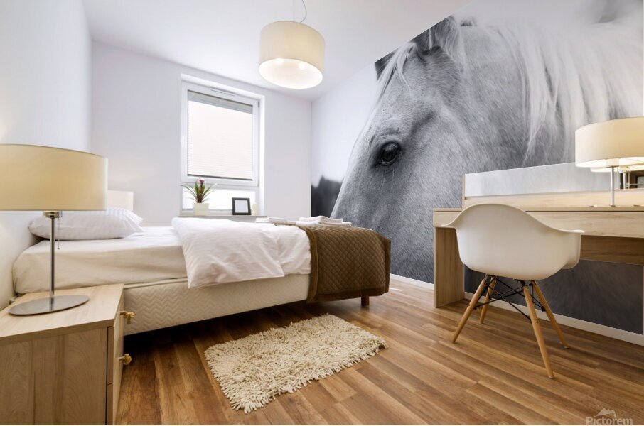 Waiting for Treats Mural print