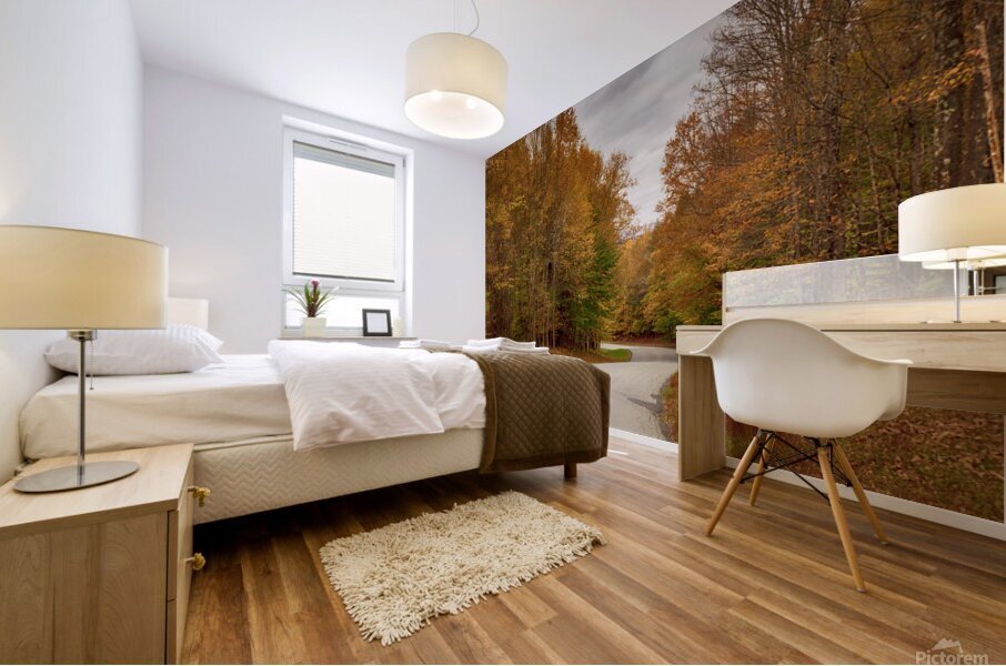 Tranquil Autumn Roads Sullivan County NY Mural print