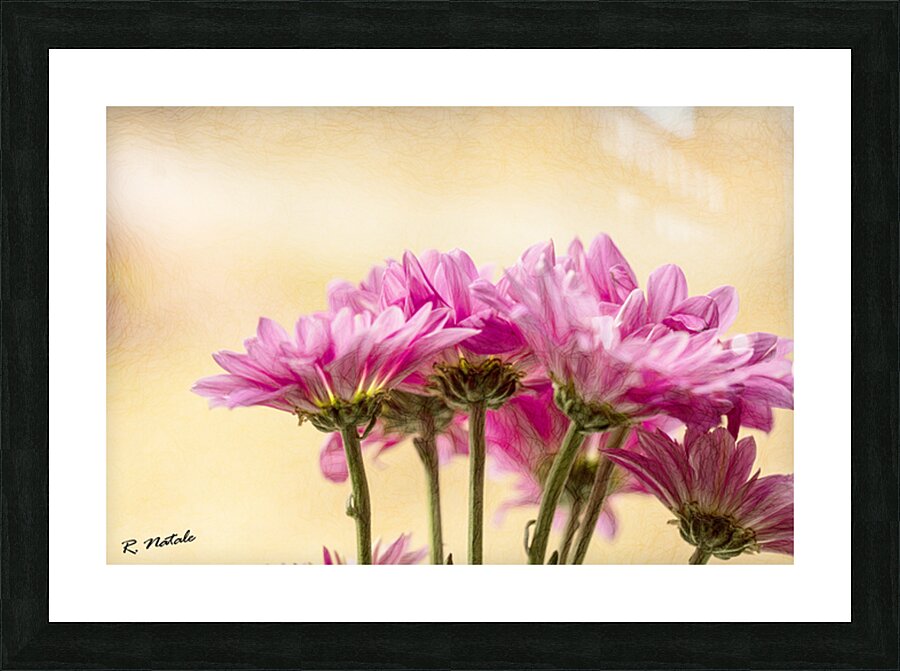 Enchanting Garden Flowers VIII Picture Frame print