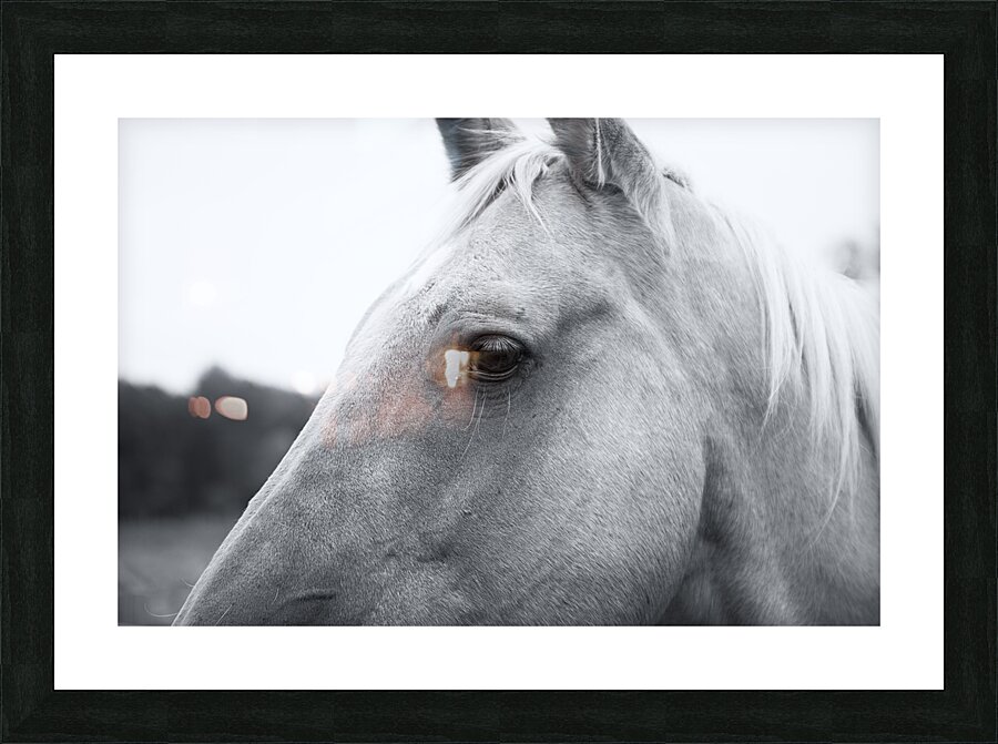 Waiting for Treats Picture Frame print