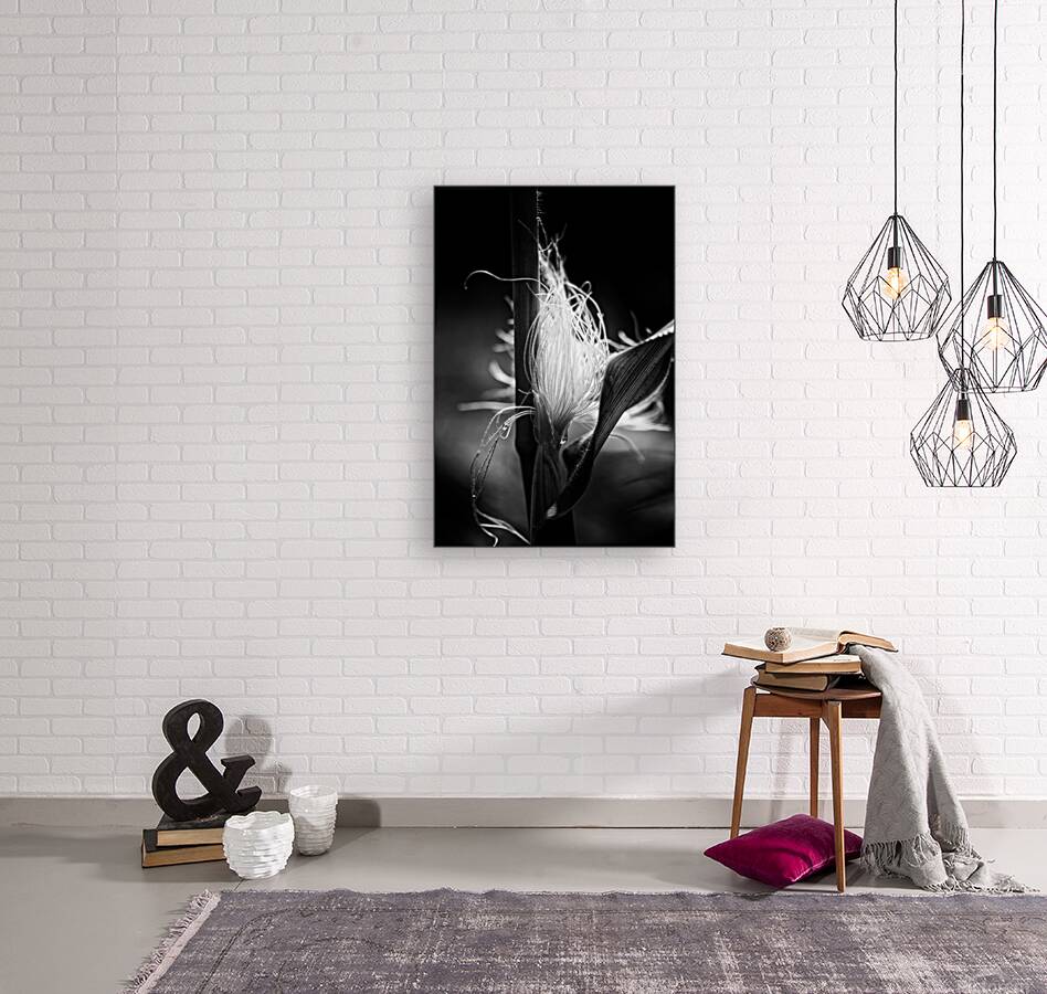 Corn Silk Summer Reproduction