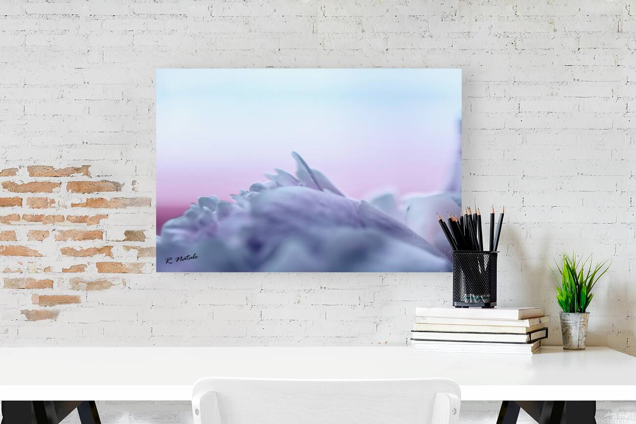 Impressions of a Pink Peony Flower Pastel Reproduction