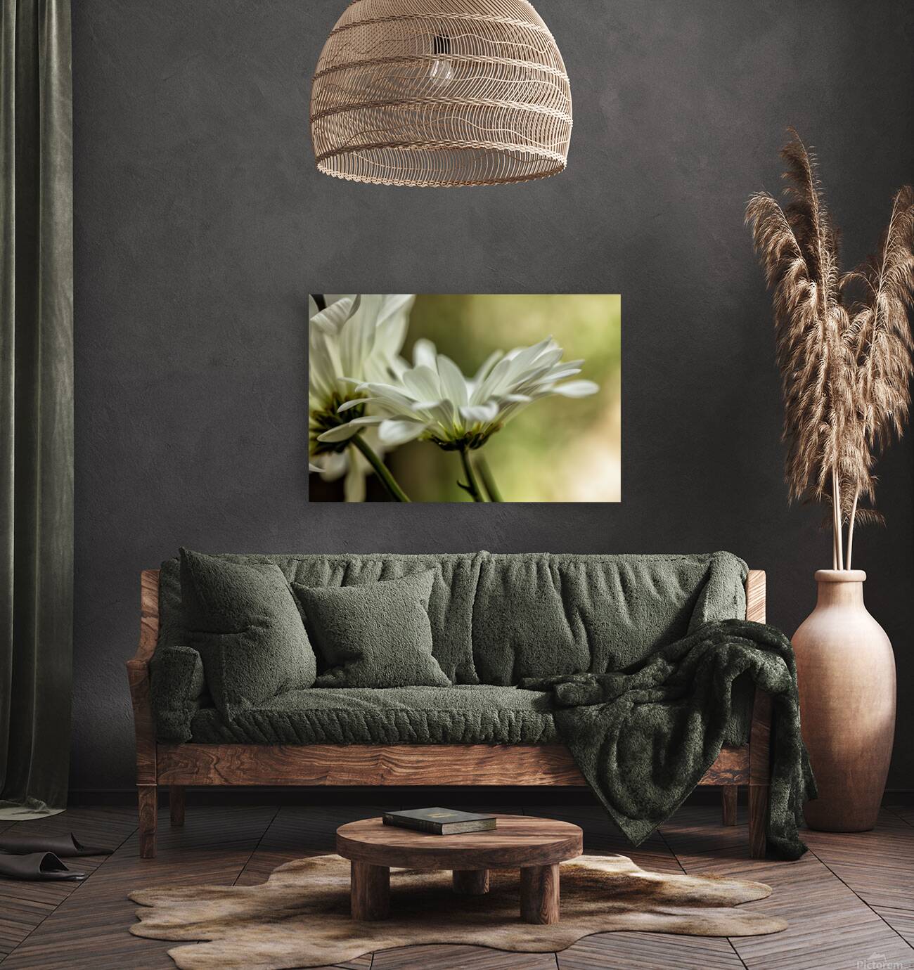 White Daisy Color Reproduction