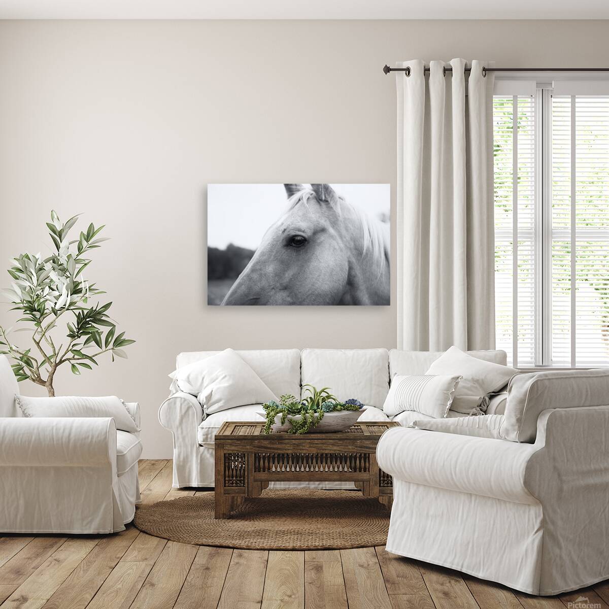 Waiting for Treats Reproduction