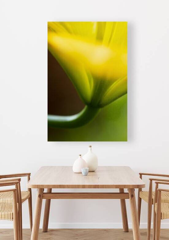 Impressions of a Yellow Lily by R Natale Photography