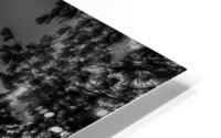 Tree and Moon HD Metal print