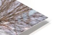 Across the Road HD Metal print