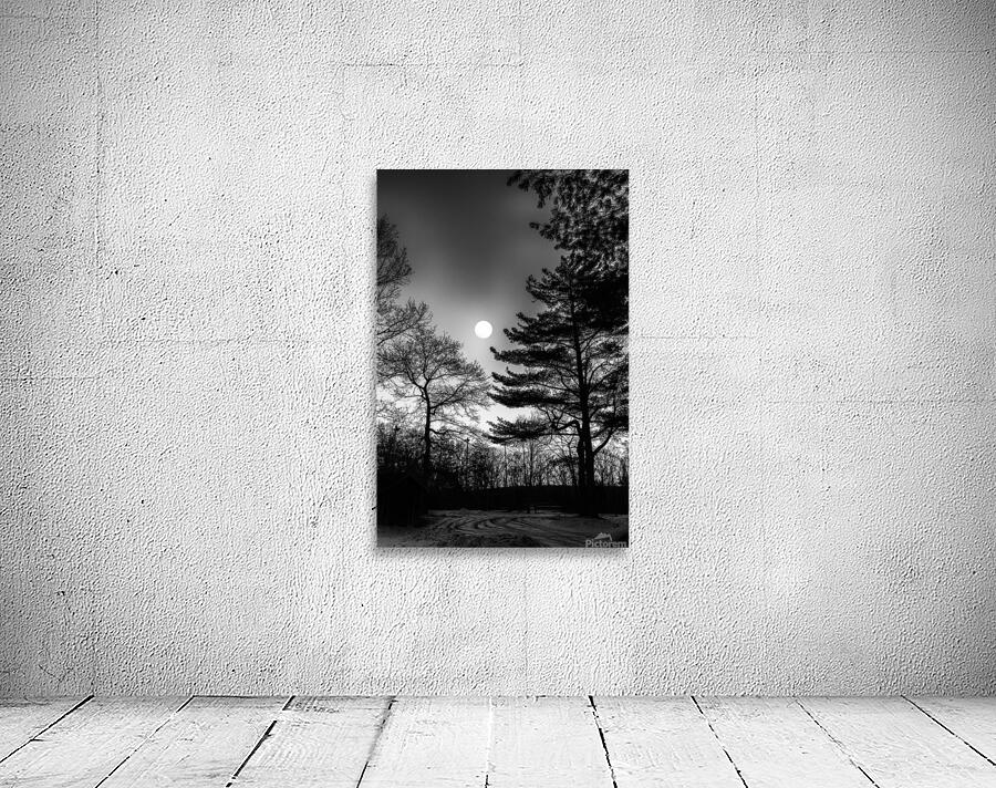 Tree and Moon Wall Preview