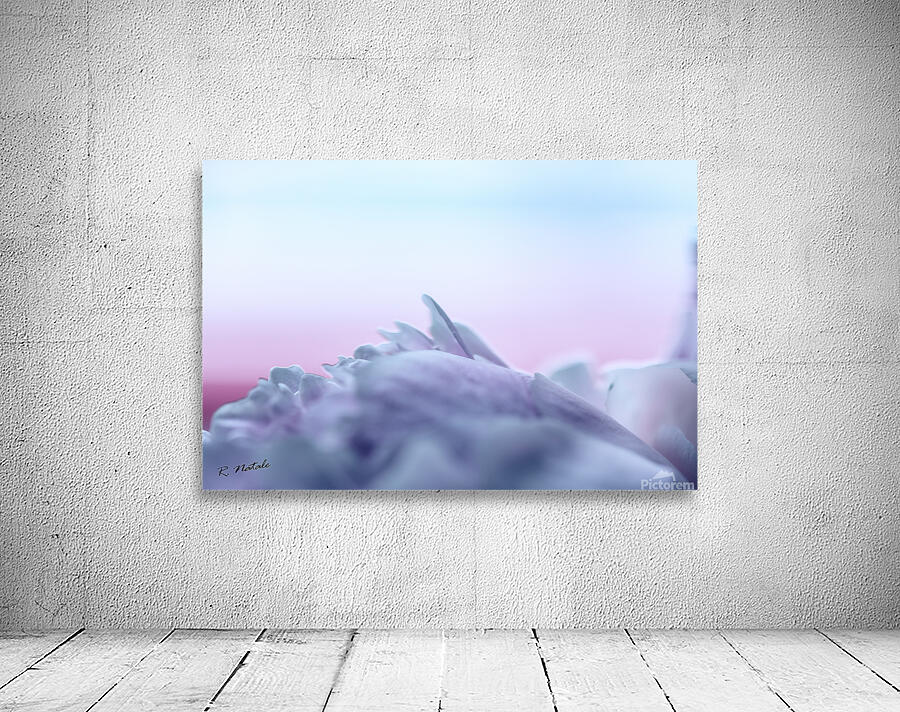Impressions of a Pink Peony Flower Pastel Wall Preview