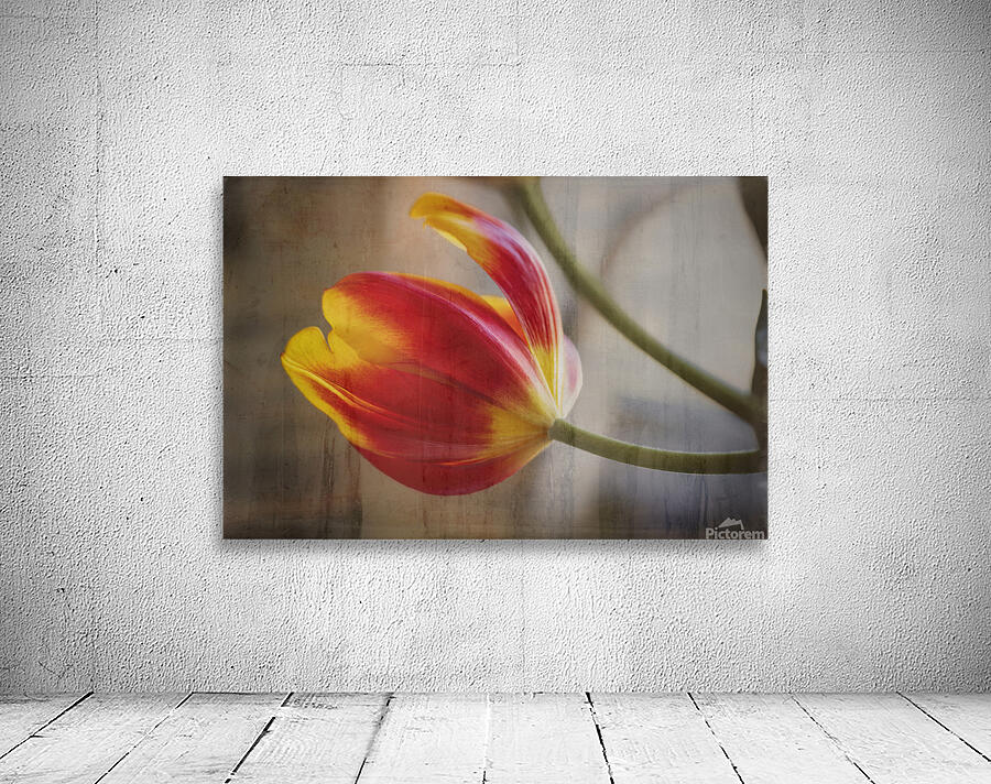 Ode to Spring Tullips Wall Preview