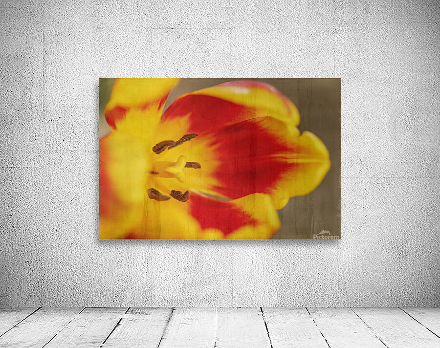 Ode to Spring Tulips 2 Wall Preview