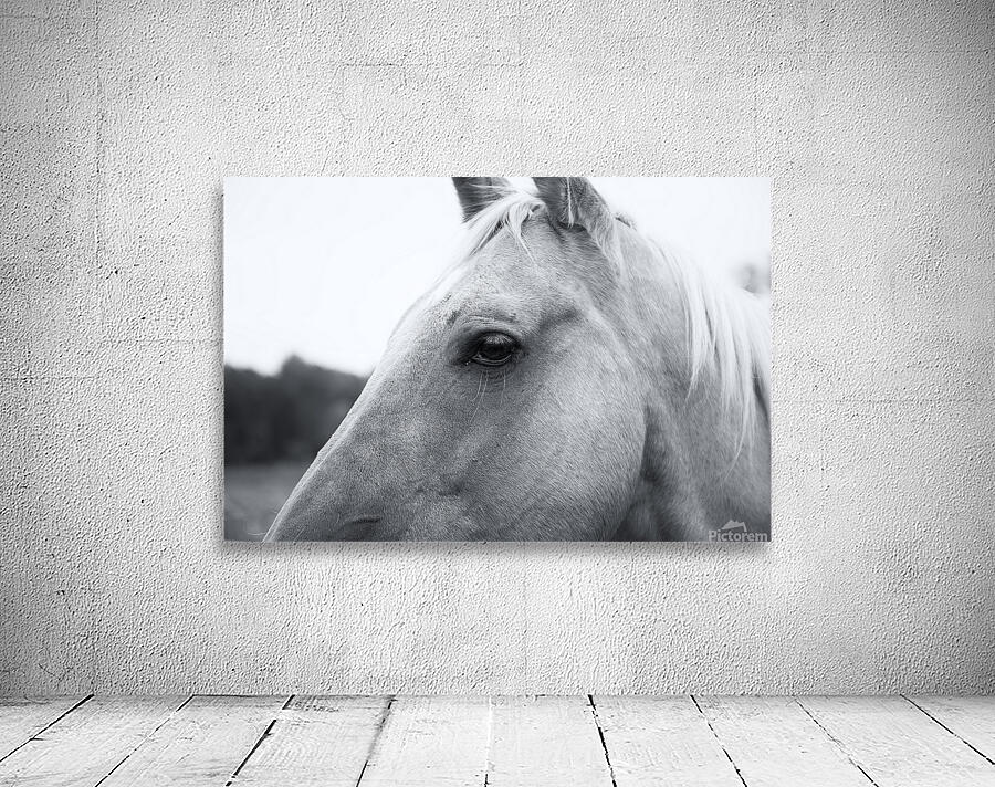 Waiting for Treats Wall Preview