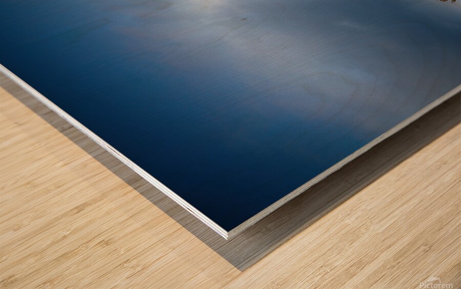 Empty Country Road Pocono Mountains Wood print