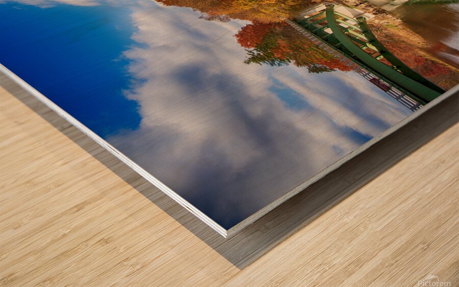 View of the Delaware River Narrowsburg NY Wood print