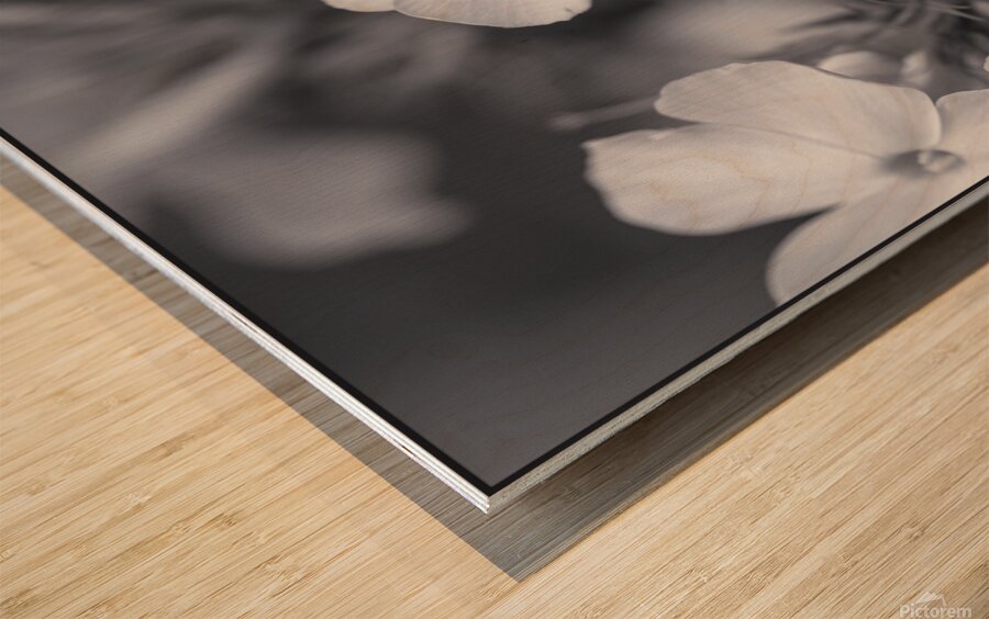 Summer Phlox Flowers Blue Tone  Wood print