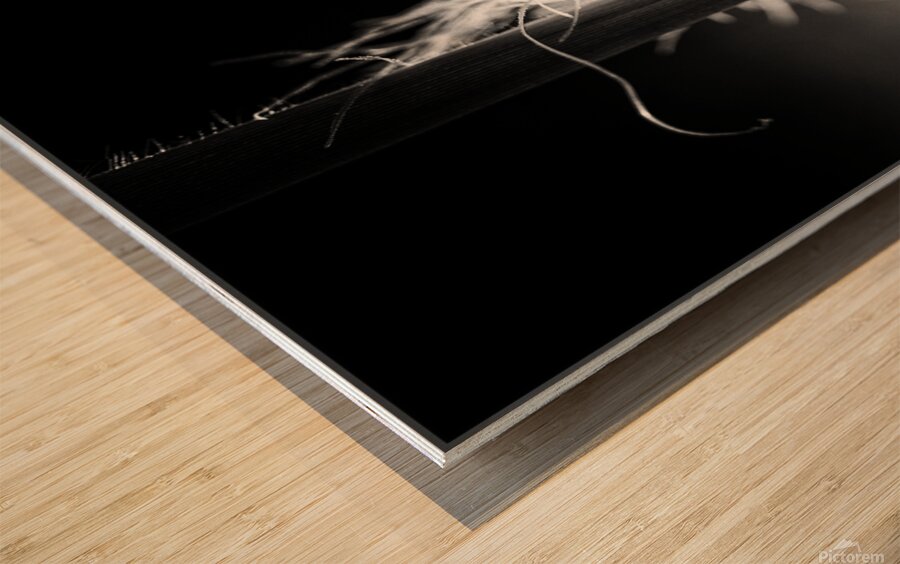 Corn Silk Summer Wood print