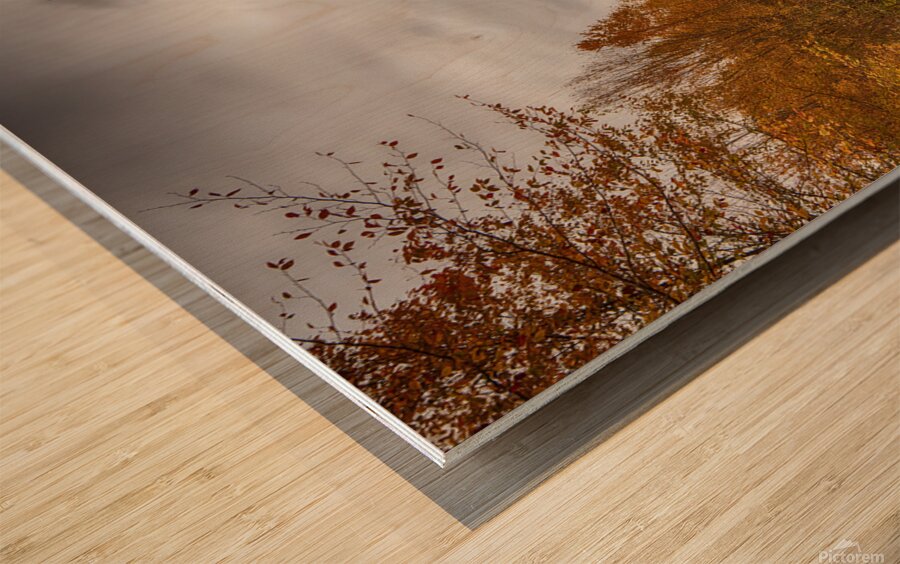 Tranquil Autumn Roads Sullivan County NY Wood print