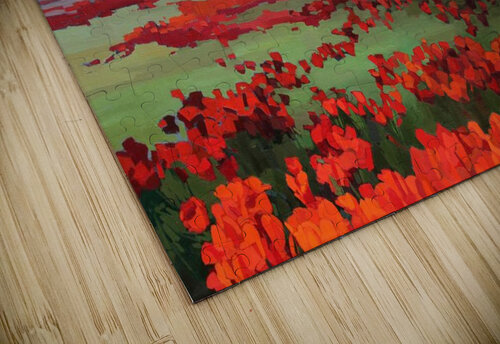 Mountain Shaye Hirsch puzzle