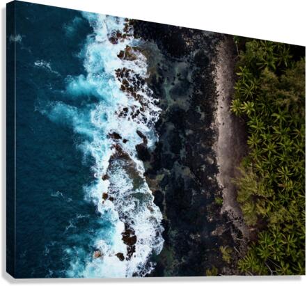 Blue Meets Black Canvas Print