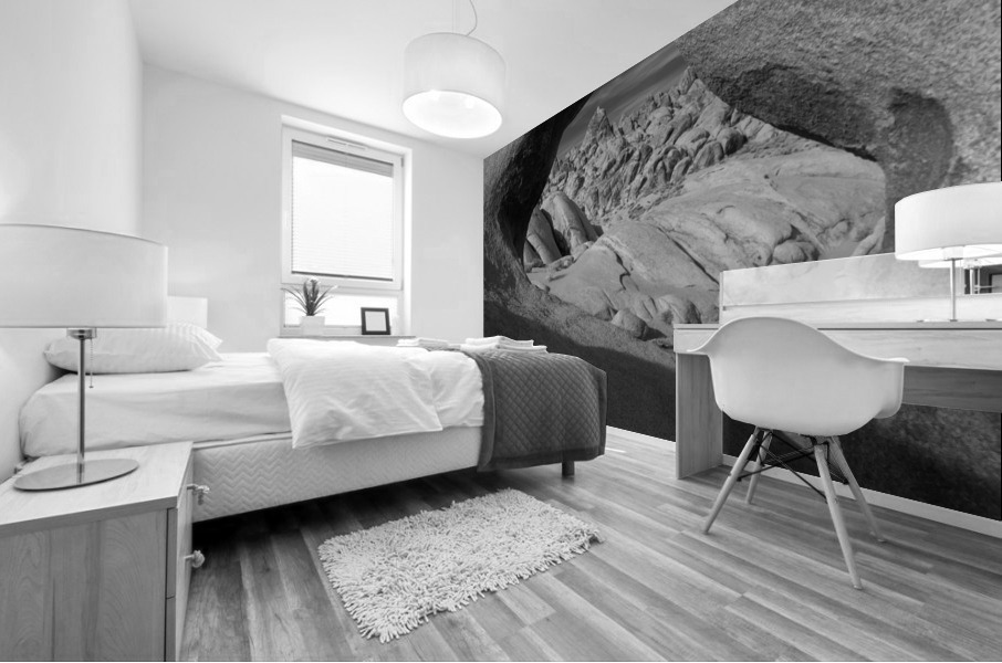 The Arch Mural print
