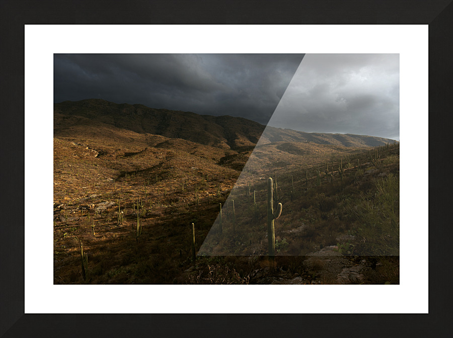 Desert Storm Picture Frame print