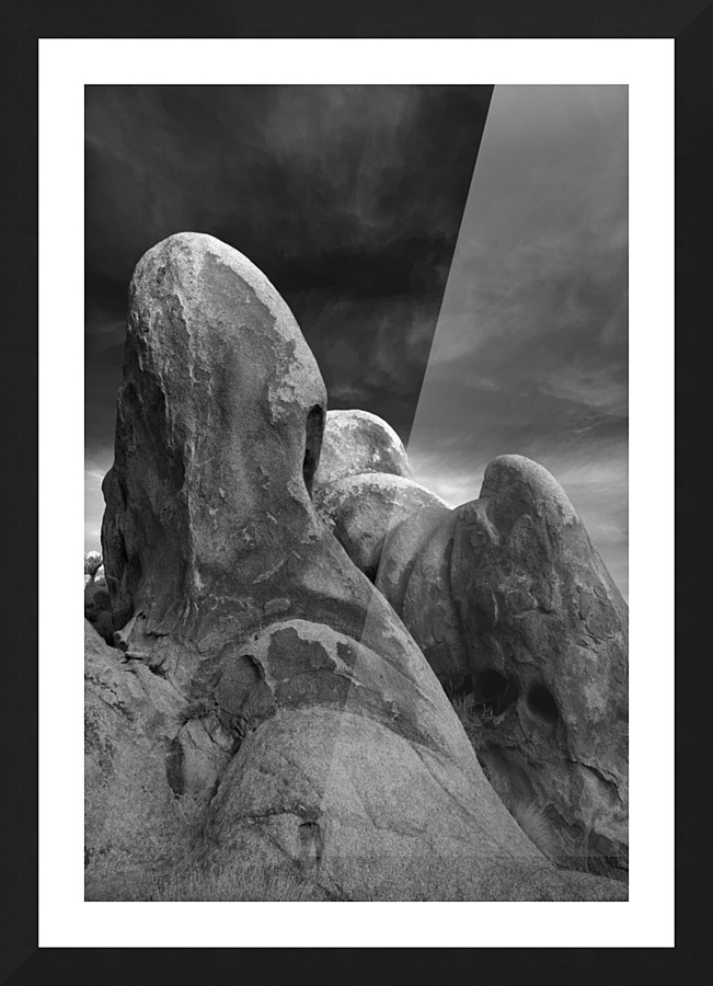 Alien Picture Frame print