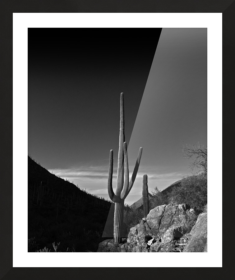 Slim Picture Frame print
