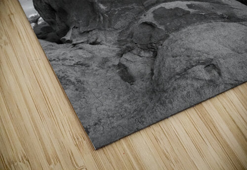 Alien Alejandro Lalinde puzzle