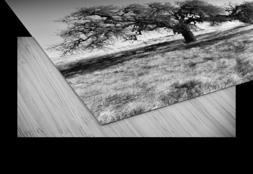 Bare and Alone Alejandro Lalinde puzzle