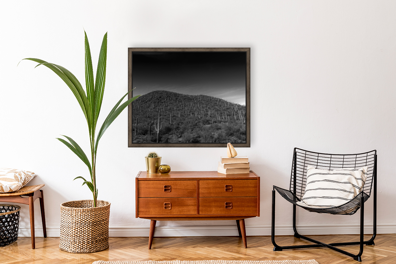 Cacti Hill Reproduction