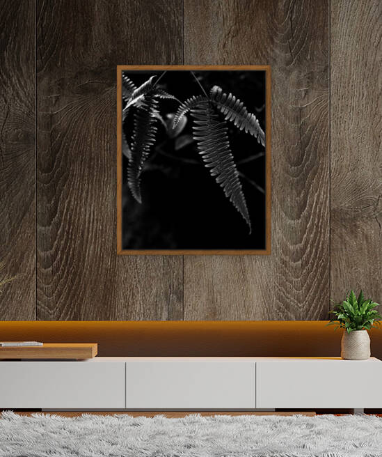 Fern with Drops by Alejandro Lalinde