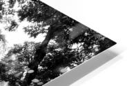 Forgotten HD Metal print