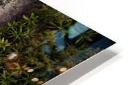 Blue Meets Black HD Metal print