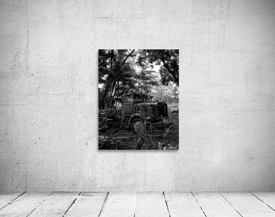 Forgotten Wall Preview
