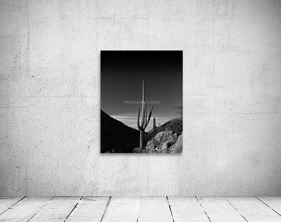 Slim Wall Preview