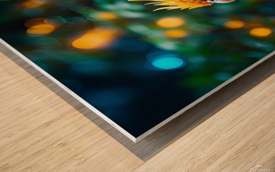 A colorful phoenix bird Wood print