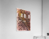 Insecurity Acrylic Print