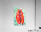 Frustration 2 Acrylic Print