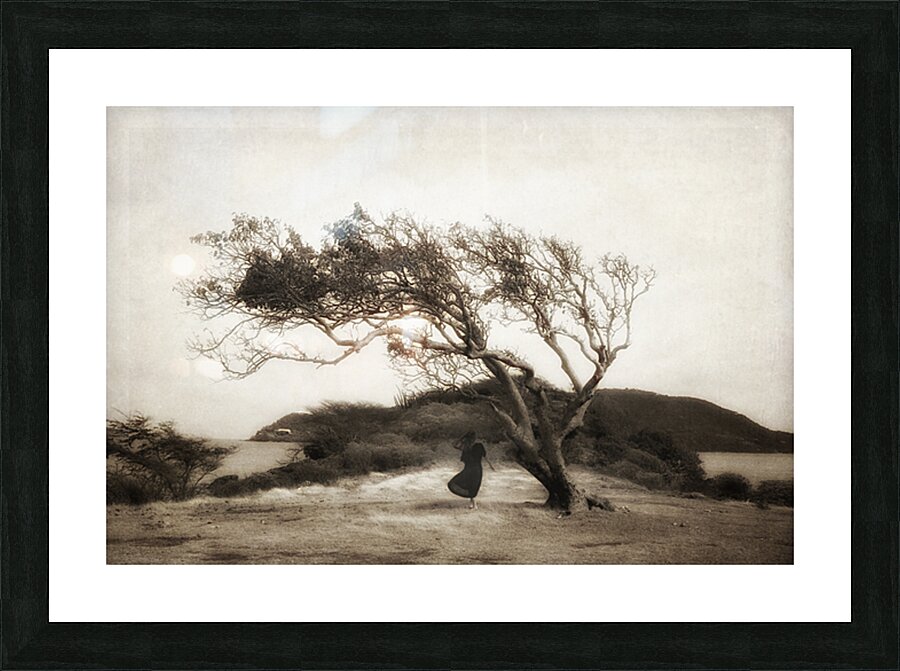 Lone Tree Hill Picture Frame print
