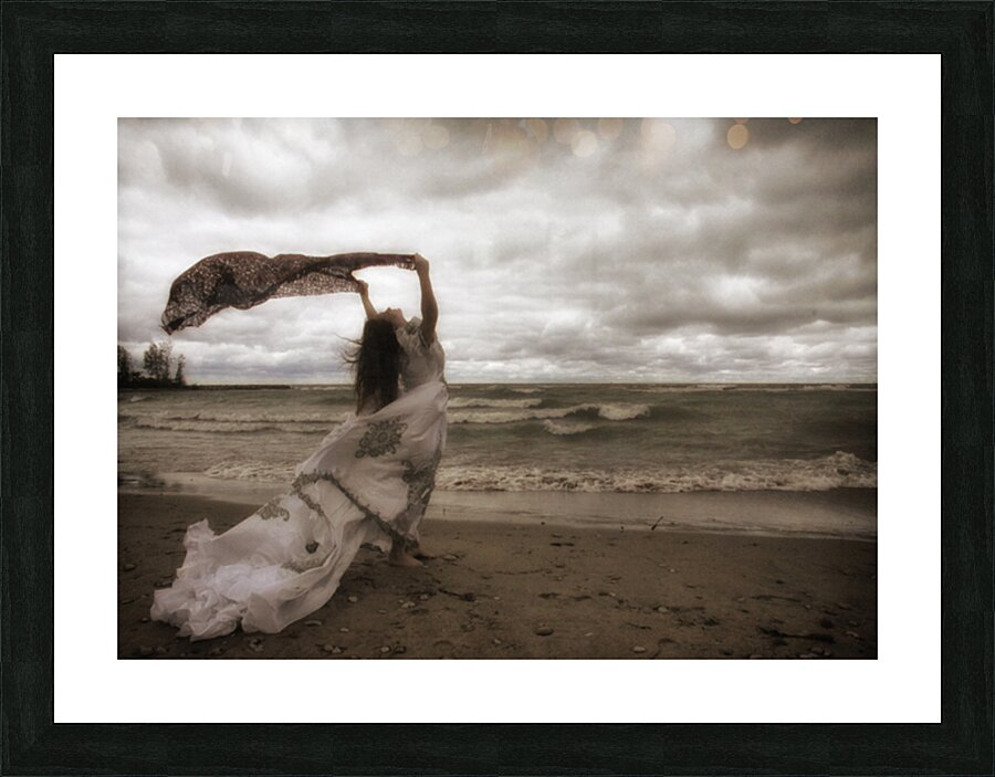 Private Signal Picture Frame print