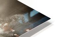 Lost Lagoon HD Metal print